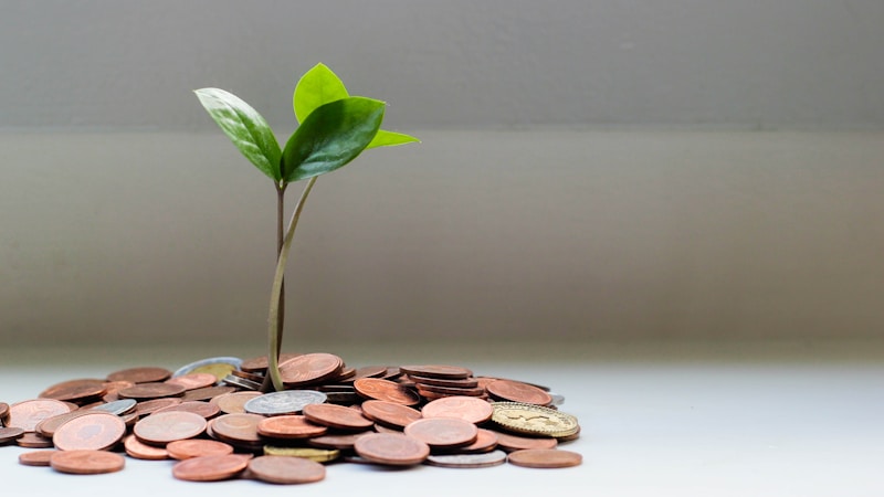 Plant growing from a jar of coins, representing growing your emergency savings safely